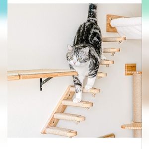 Cat Climbing Shelf Wall Mounted